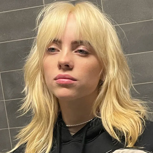 Wolf Cut for Blond